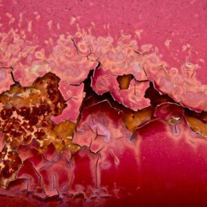 Featured Artist